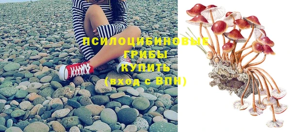 бошки Аркадак